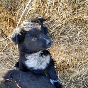 Meet your Posher, Esther